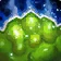 Crude Fruit Pulp