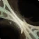 Crystalline Silk