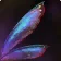 Torn Insect Wing