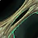 Sinew Thread