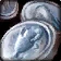 Squirrel Token