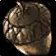 Maple Seed