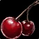 Hyjal Berries