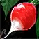 Dereks Radish Bag