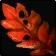 Bloodkelp