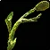 Plant Stem