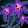 Plaguebloom