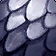 Black Whelp Scale