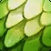 Green Whelp Scale