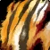 Primal Tiger Leather