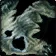 Ruined Boar Pelt