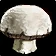 Underwater Mushroom Cap