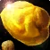 Gold Nugget