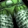 Cenarion Reservist's Legguards