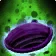 Felvine Seed